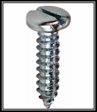Self Tapping Screws